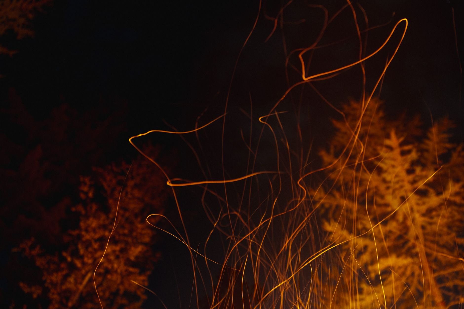 Mesmerizing long exposure photo of campfire sparks rising against a dark night sky.